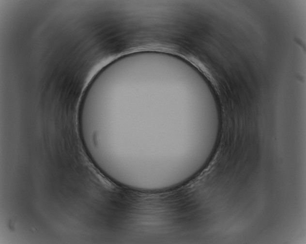 X0000093161230200709261029