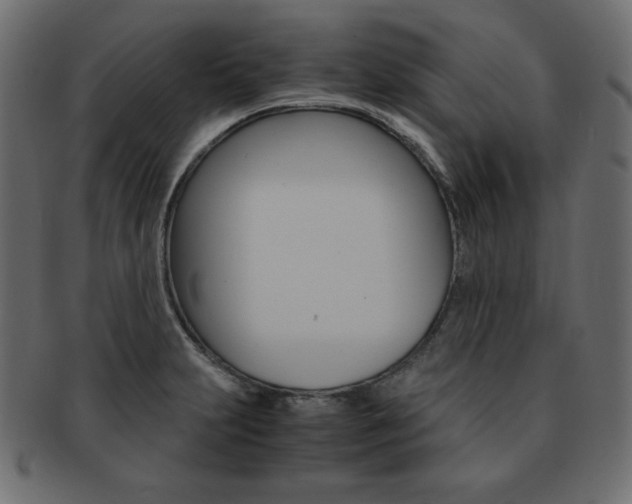X0000093161231200709261029