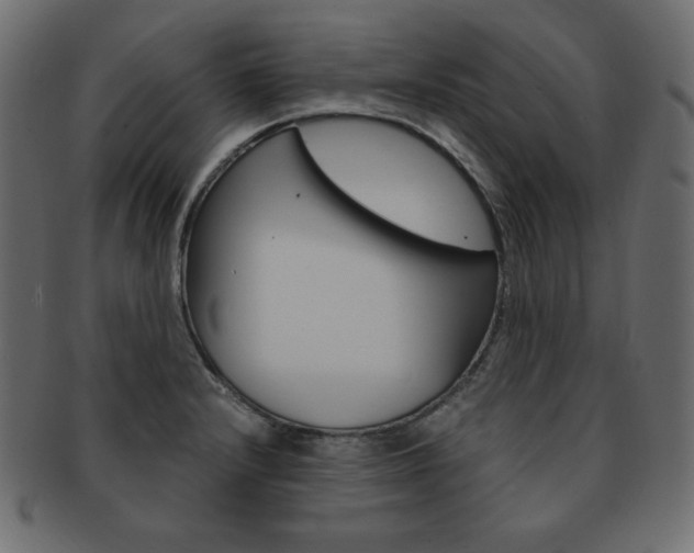 X0000093161232200709261029