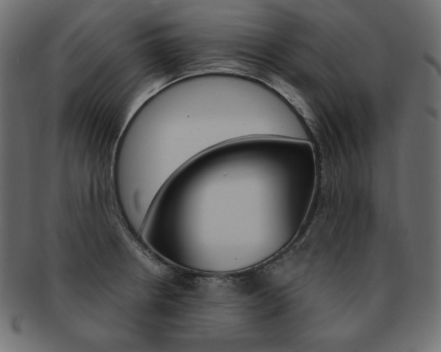 X0000093161234200709261029