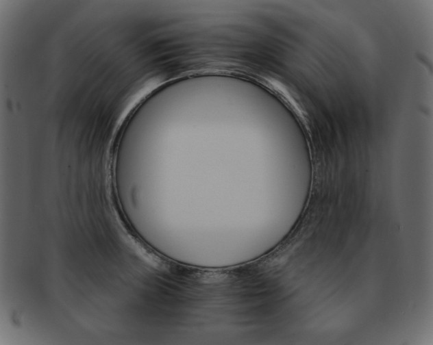 X0000093161235200709261029