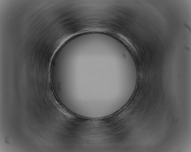X0000093161236200709261029