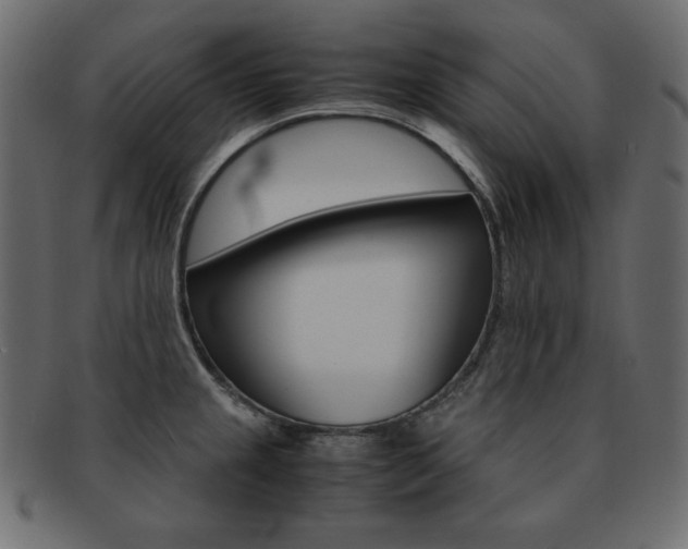 X0000093161237200709261029