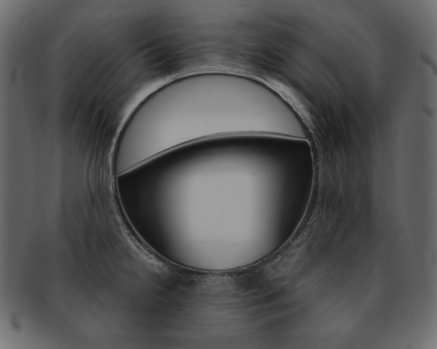 X0000093161238200709261029