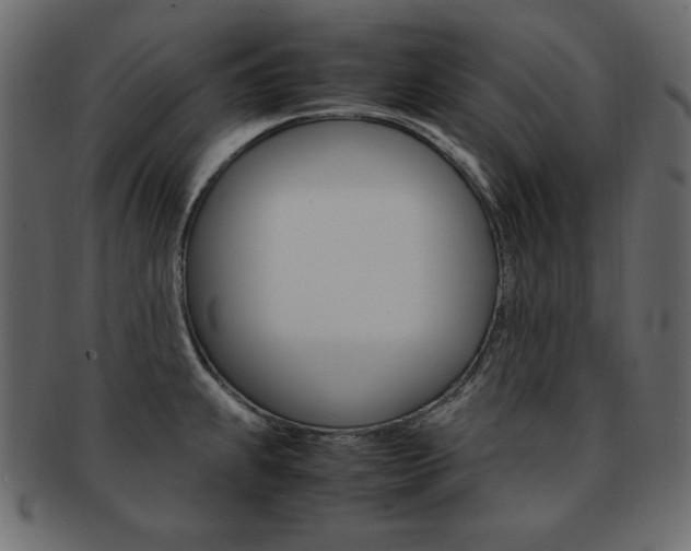 X0000093161239200709261029