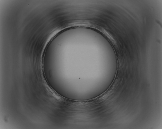 X0000093161240200709261029