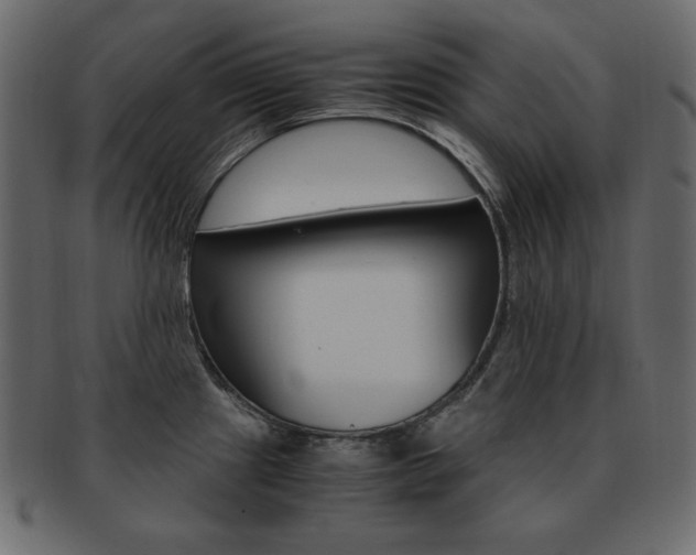 X0000093161241200709261029