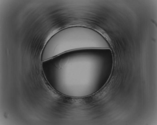 X0000093161242200709261029