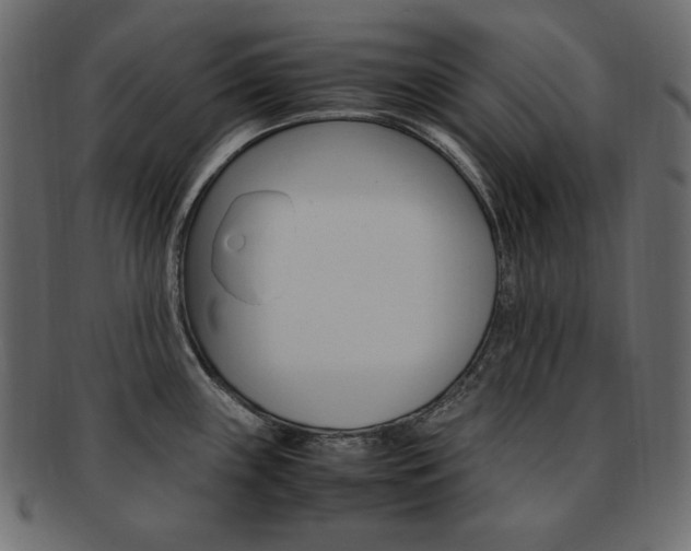 X0000093161243200709261029