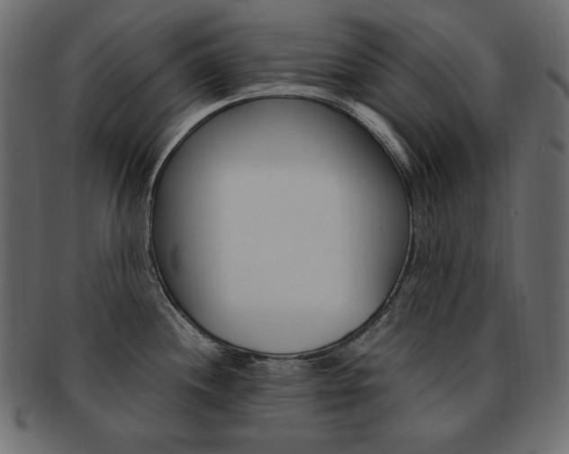 X0000093161244200709261029