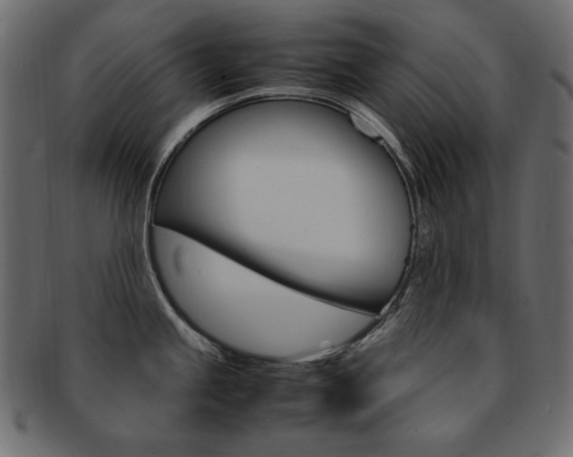 X0000093161245200709261029
