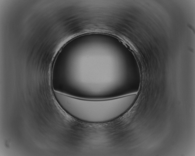 X0000093161246200709261029