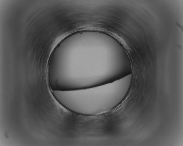 X0000093161247200709261029