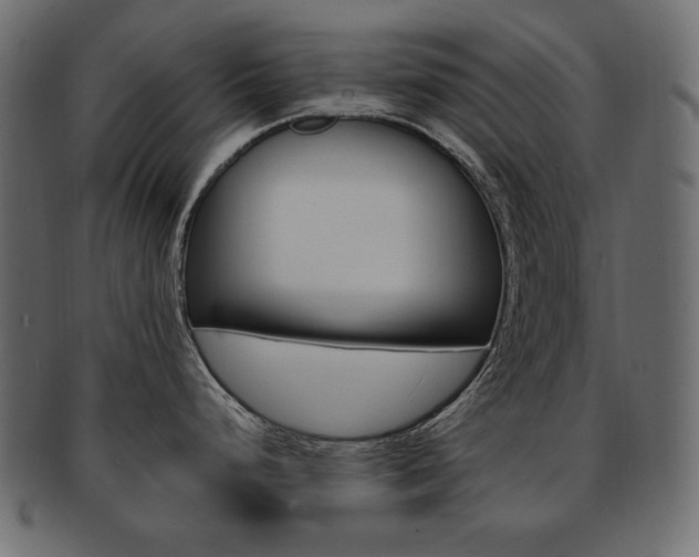 X0000093161248200709261029