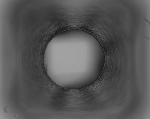 X0000093161249200709261029