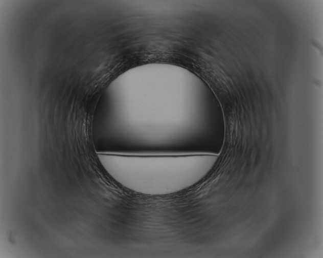 X0000093161250200709261029