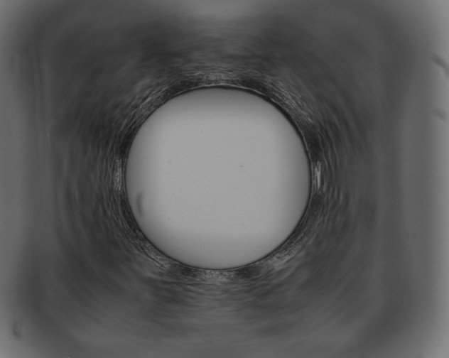 X0000093161251200709261029