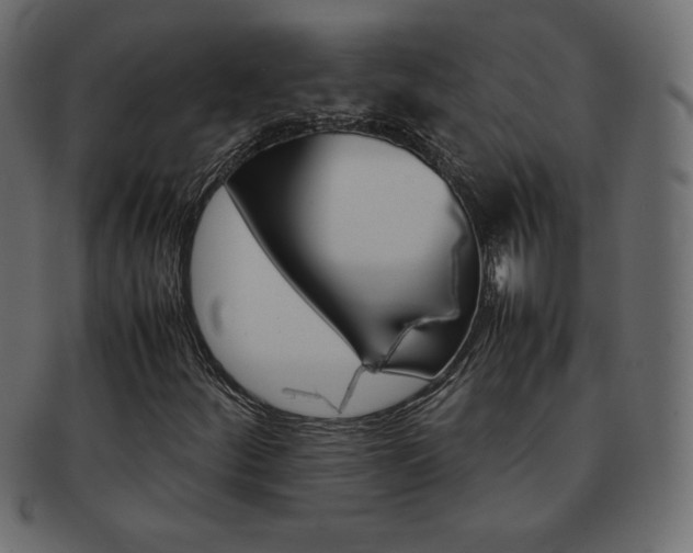 X0000093161252200709261029