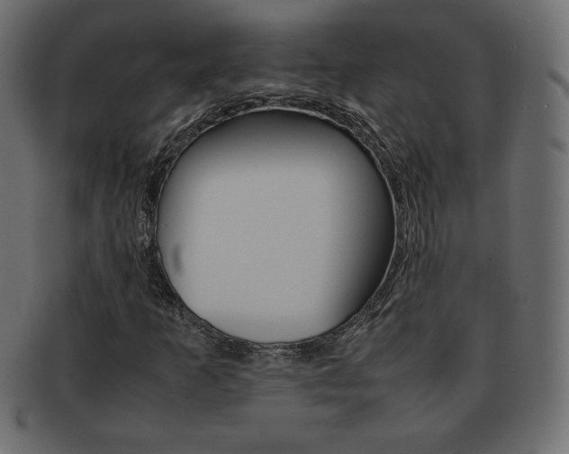 X0000093161253200709261029