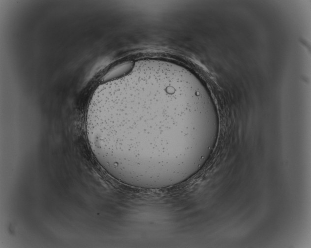 X0000093161255200709261029