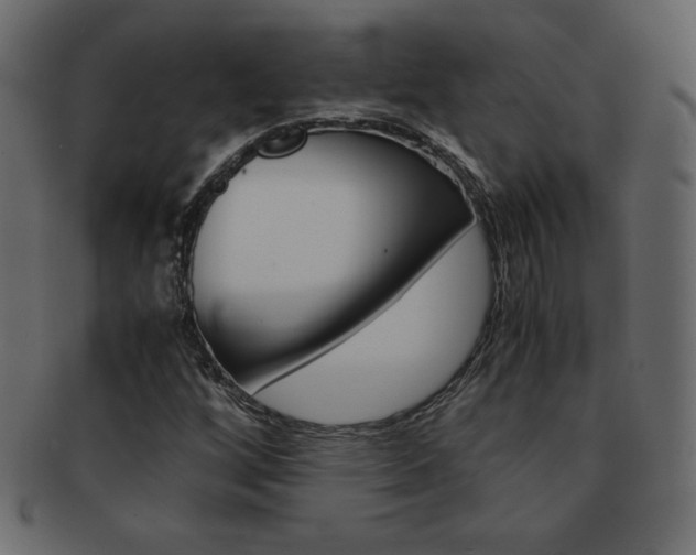 X0000093161256200709261029