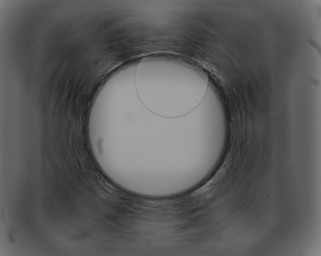 X0000093161257200709261029