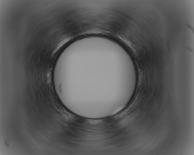 X0000093161258200709261029