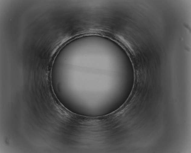 X0000093161260200709261029