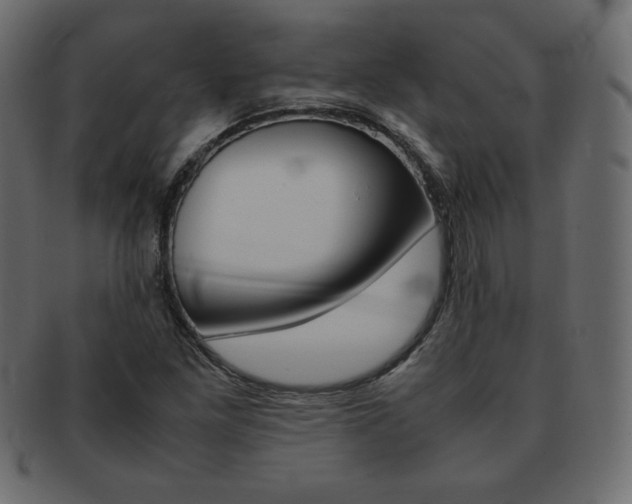 X0000093161261200709261029