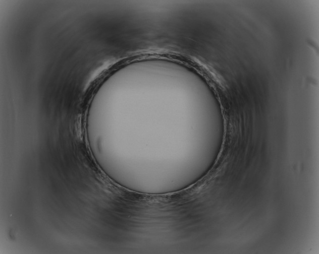 X0000093161262200709261029