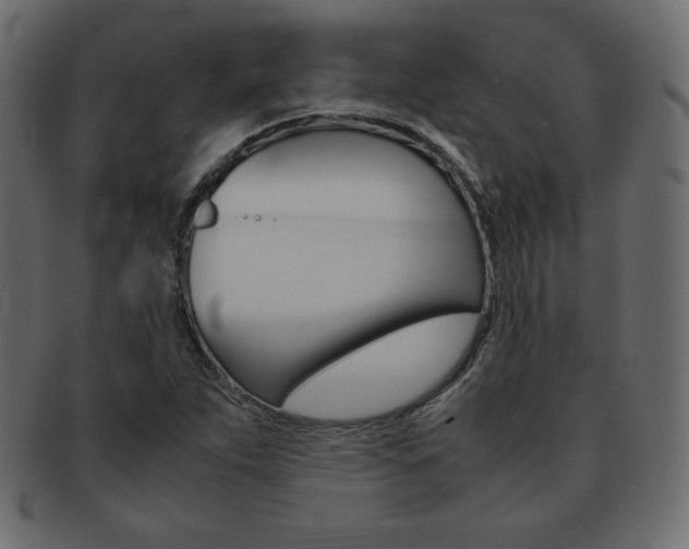 X0000093161263200709261029