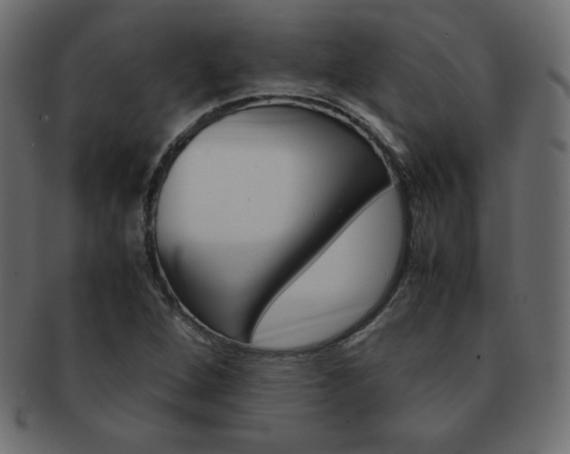 X0000093161264200709261029