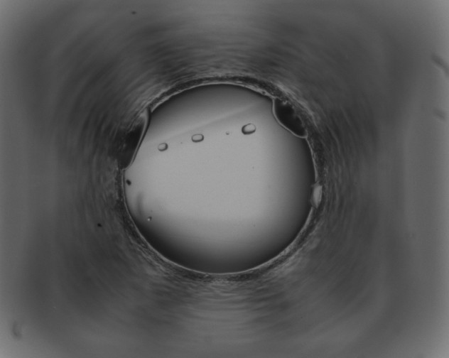 X0000093161265200709261029