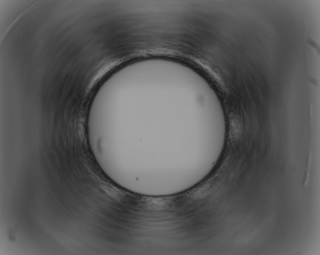 X0000093161266200709261029