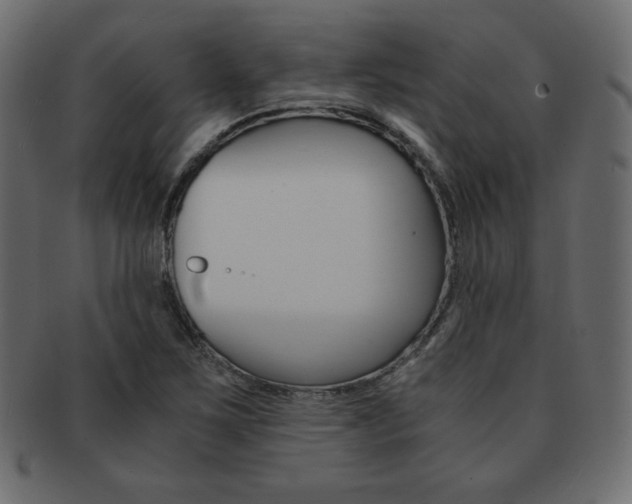 X0000093161267200709261029