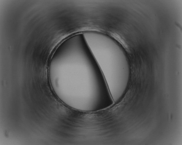 X0000093161268200709261029