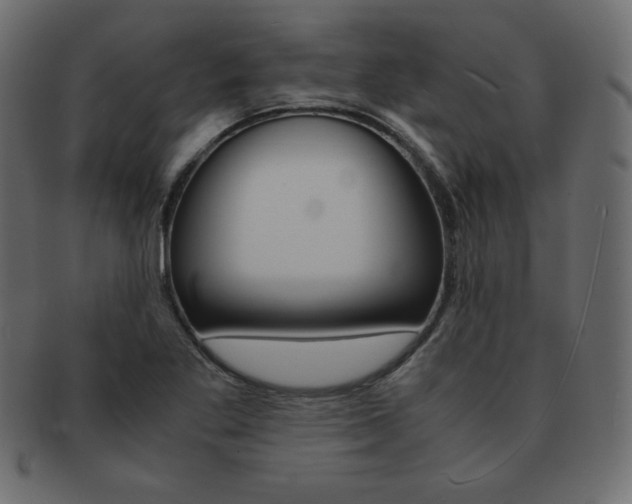 X0000093161269200709261029