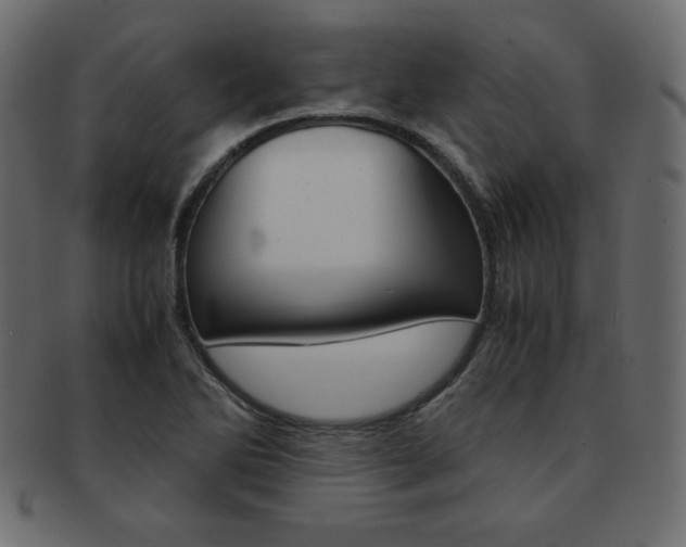 X0000093161270200709261029