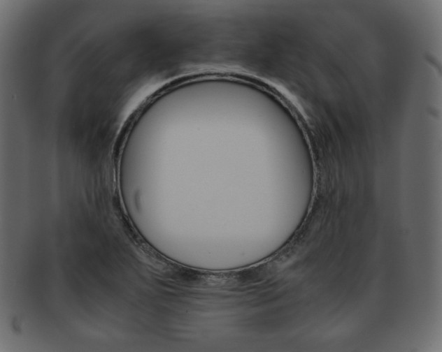 X0000093161271200709261029