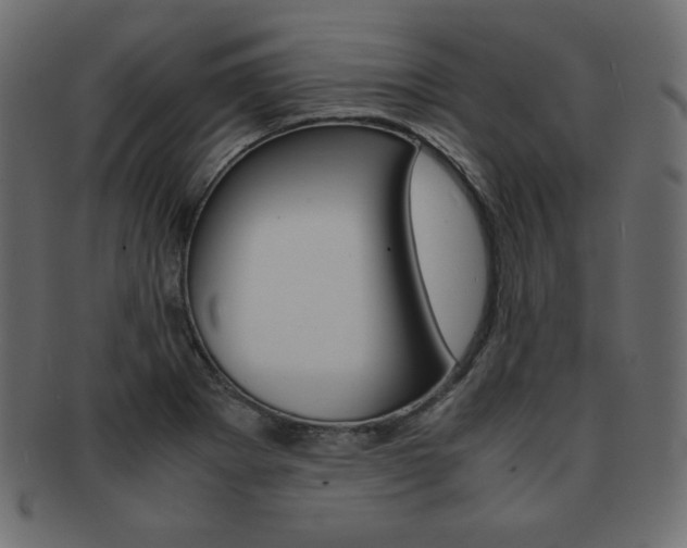 X0000093161273200709261029