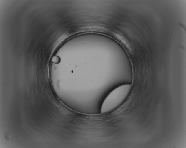 X0000093161275200709261029