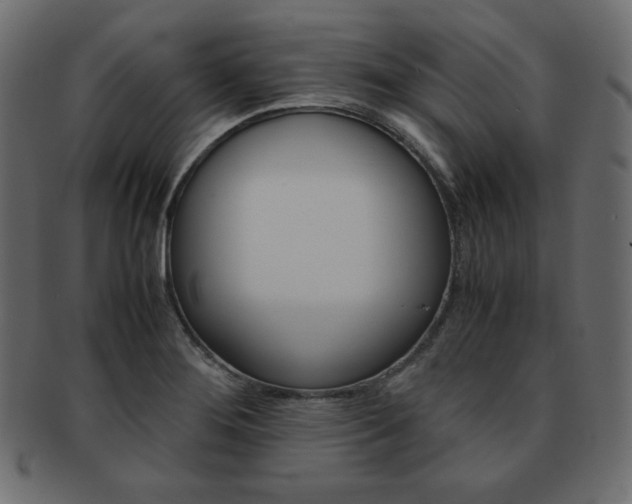 X0000093161276200709261029
