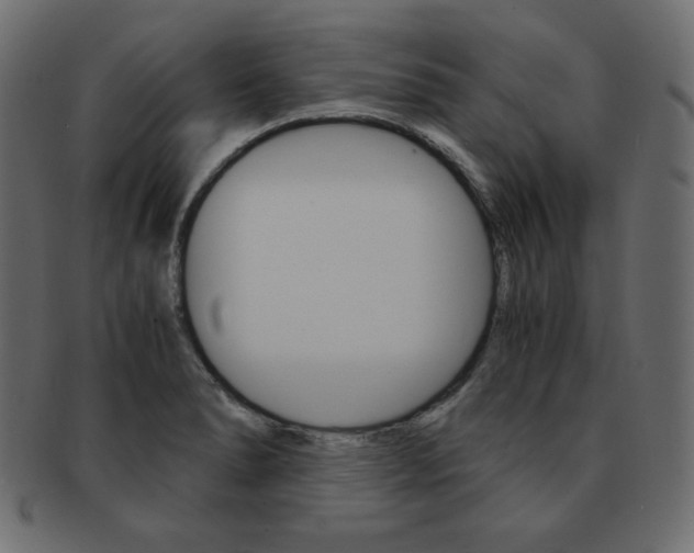 X0000093161278200709261029