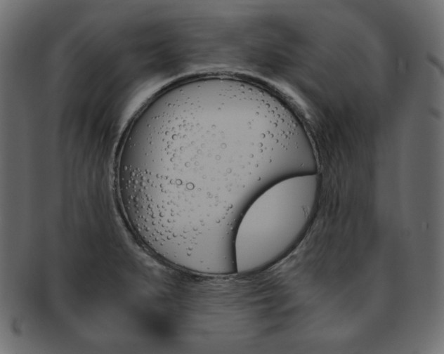 X0000093161279200709261029