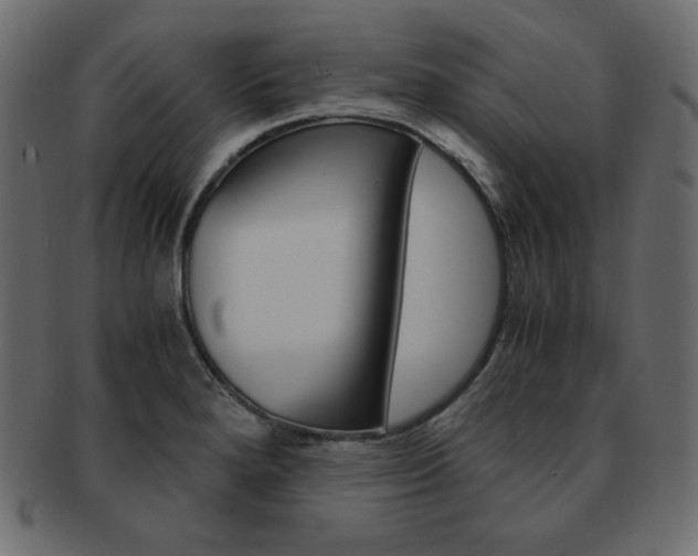 X0000093161280200709261029