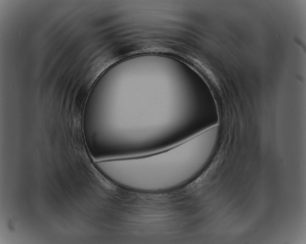 X0000093161281200709261029