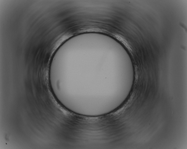 X0000093161282200709261029
