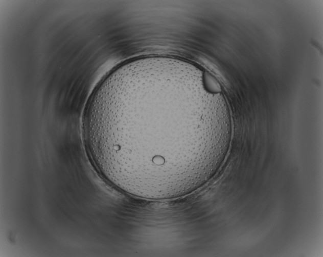 X0000093161283200709261029