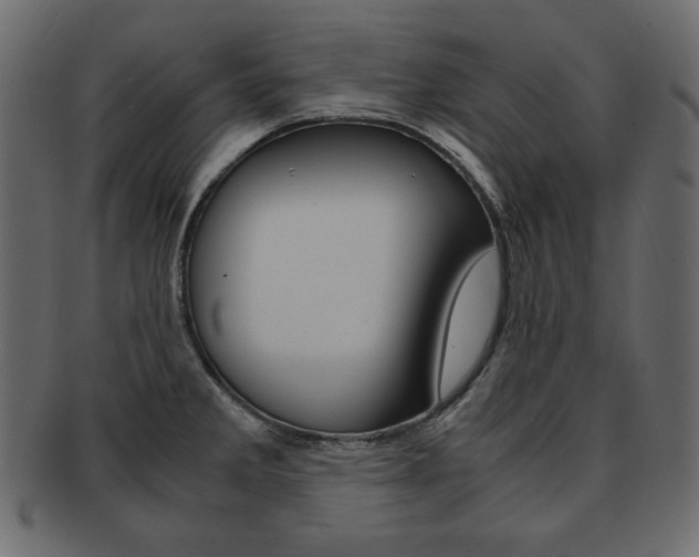X0000093161285200709261028