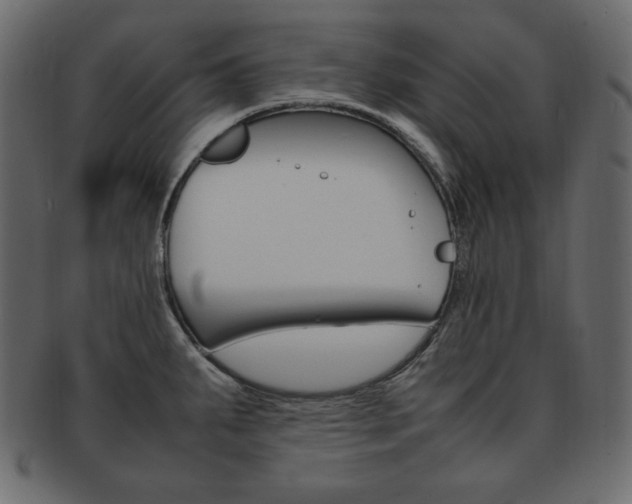 X0000093161287200709261028